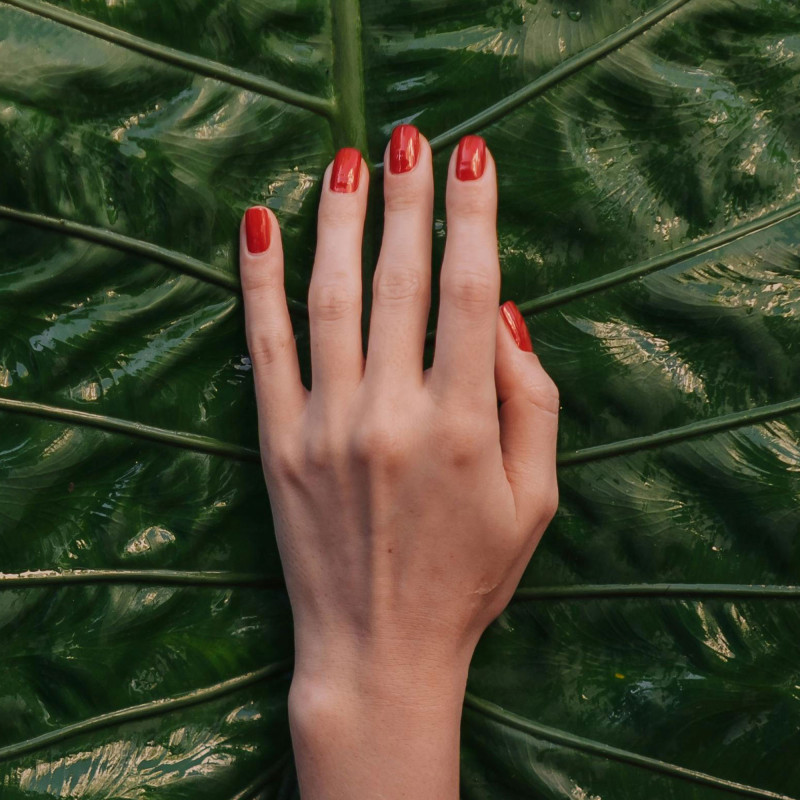 Une main avec du vernis rouge sur une feuille